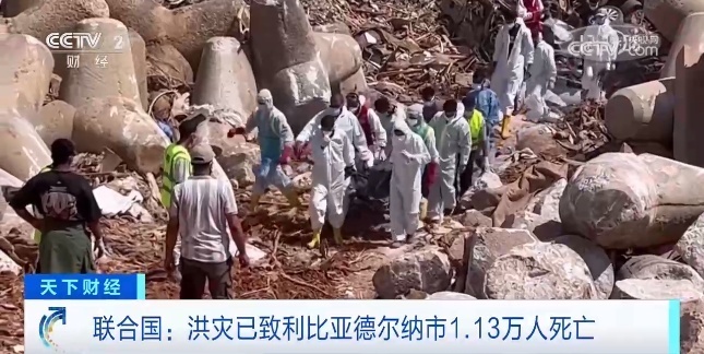 免费白菜网站大全